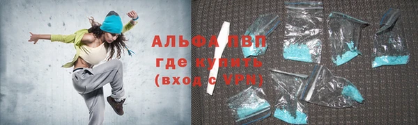 эйфоретик Бородино