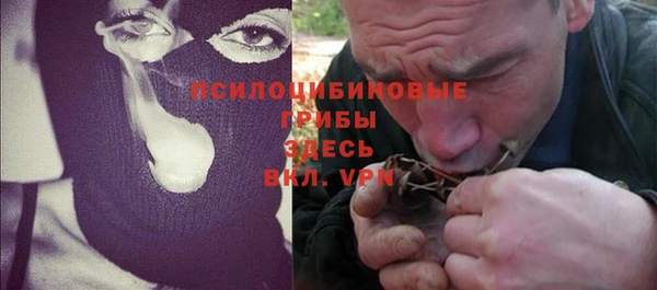 эйфоретик Бородино