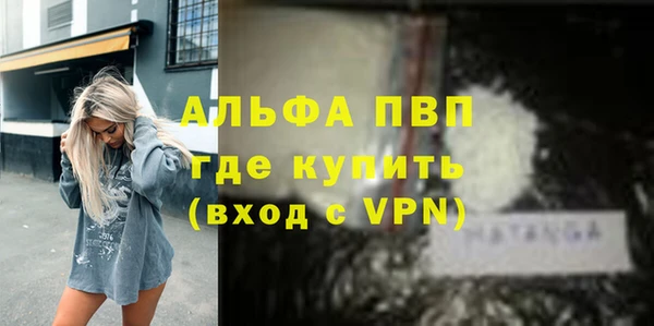 эйфоретик Бородино