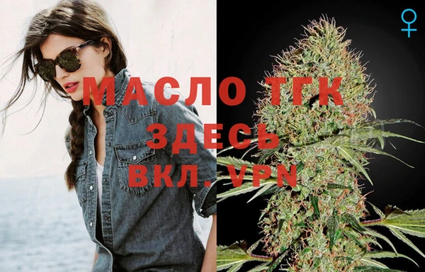 эйфоретик Бородино