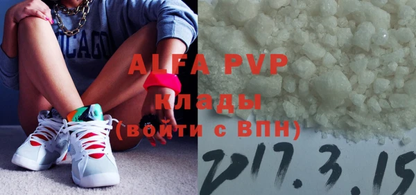 эйфоретик Бородино