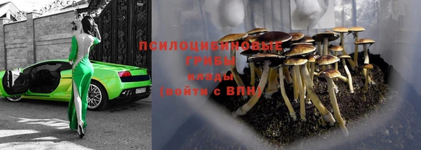 jwh Богородицк